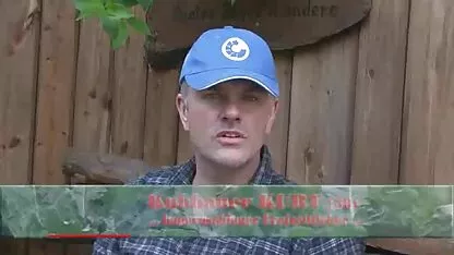 Meridas Verlobung deutsche arschfick filme